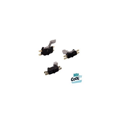 GBG Microswitch.