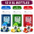 12 Bottles Slush Syrup