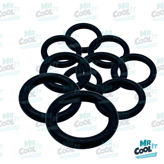 SPM O Ring (Pack of 10)